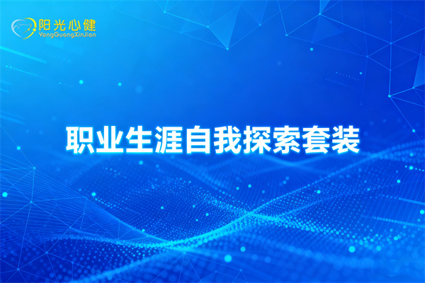职业生涯自我探索套装