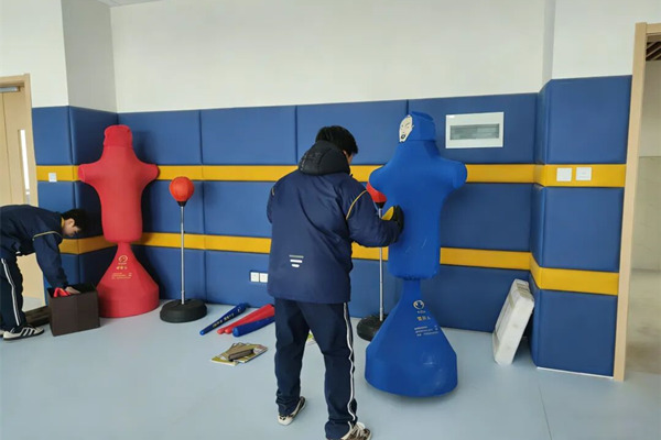 心理宣泄室规划建设方案