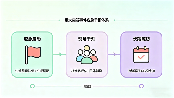 重大突发事件应急干预体系