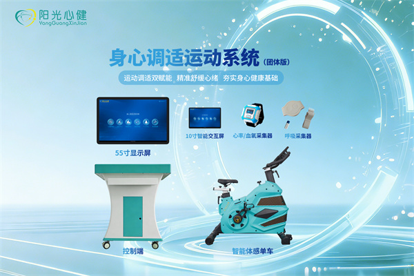 身心调试运动系统（团体版）