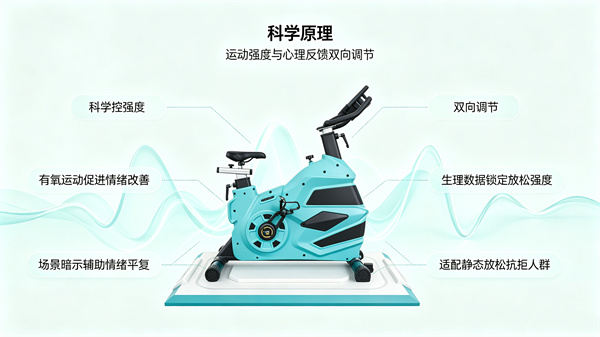 身心调适运动系统的原理